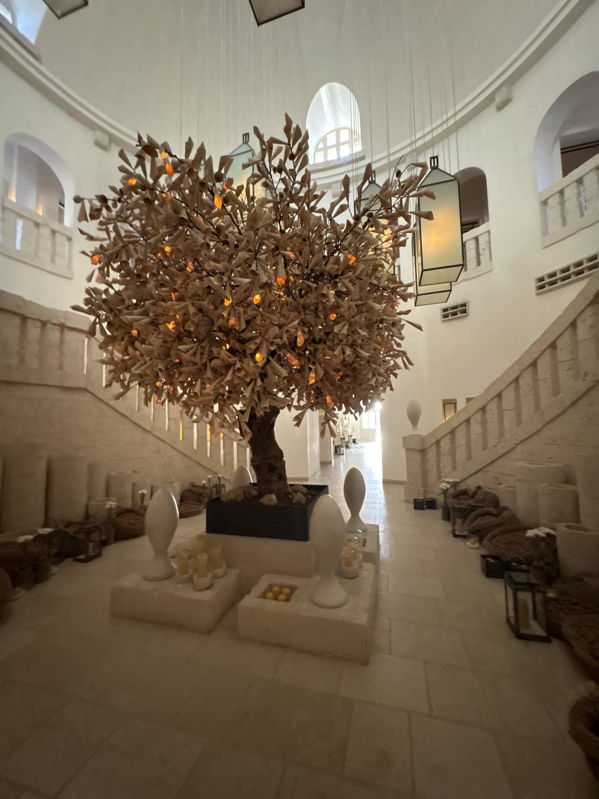 A glowing olive tree in a candlelit white stone atrium