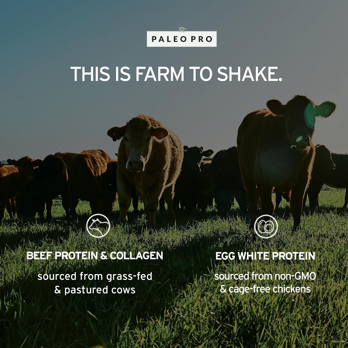 Paleo Pro Beef Protein Powder - Grass Fed Protein Powder Isolate - Pure Animal Based Pastured & Cage-Free | Dairy & Gluten Free, Natural and Clean Proteins for Paleo & Keto - 15 Days Supply (Cacao)