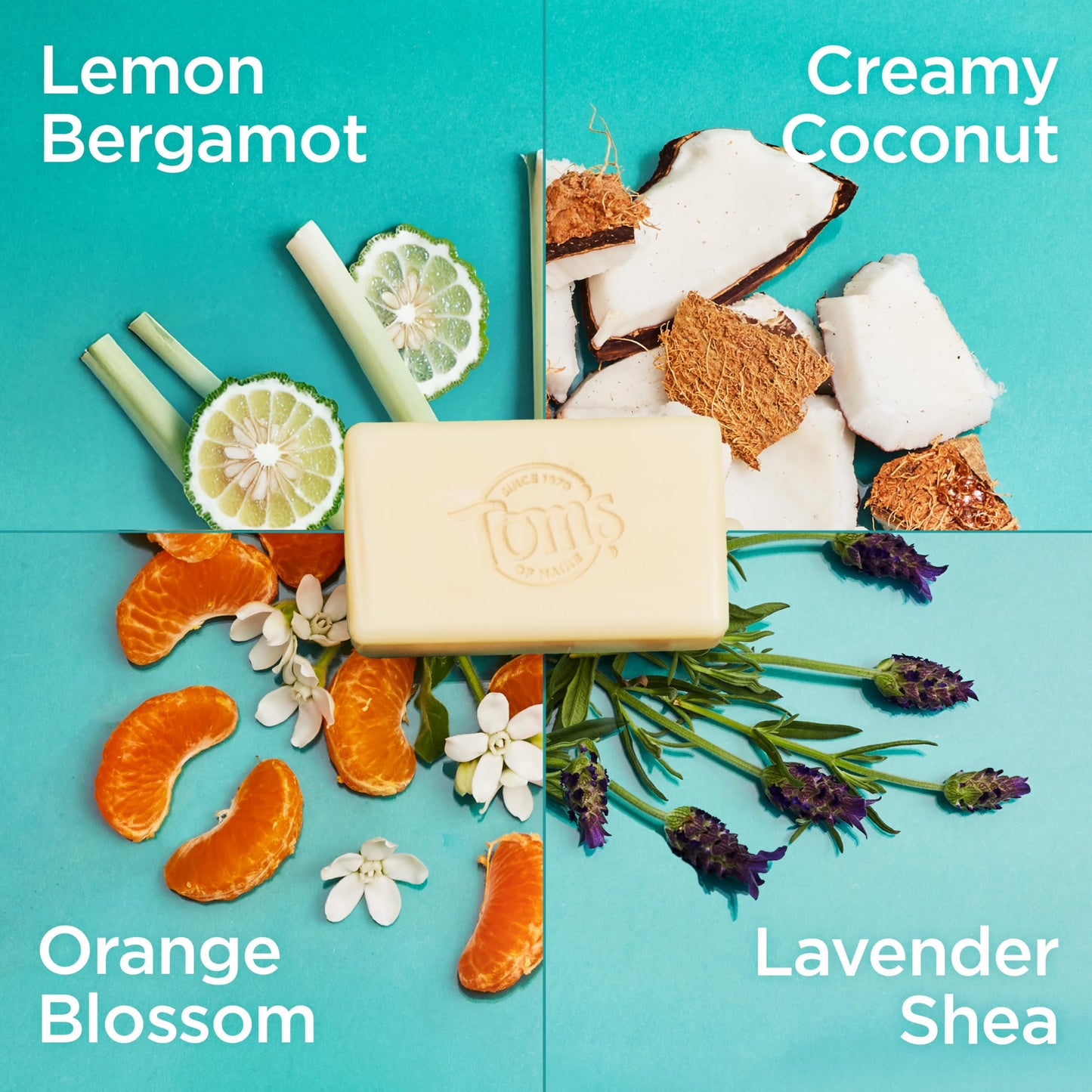 Tom’s of Maine Natural Beauty Bar Soap For Women and Men, Fragrance Free, Sensitive Skin, 5 oz Bar (Pack of 6)